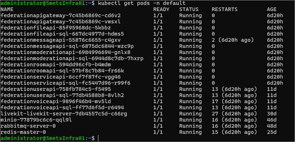 Terminal output listing Kubernetes pods